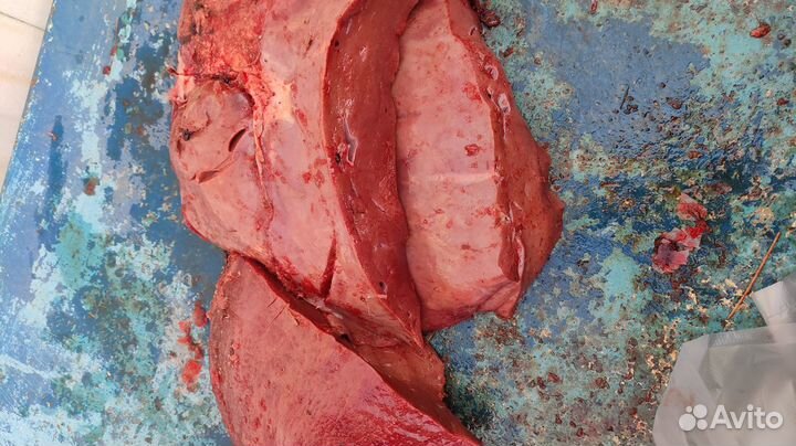 Собачий корм субпродукты говяжьи