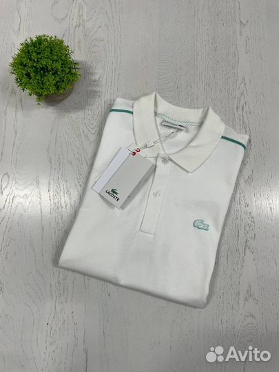 Поло Lacoste