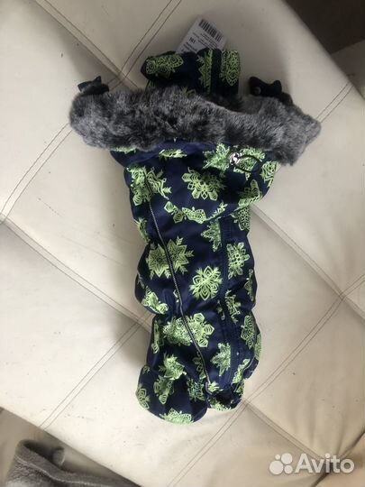 Зимний комбинезон для кобеля таксы