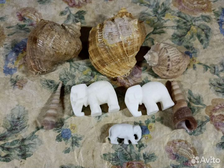 Ракушка дла аквариума