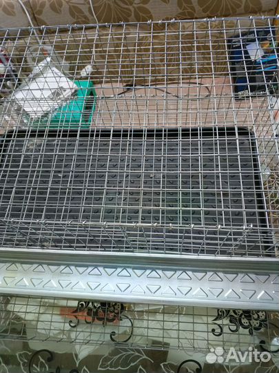 Клетки для перепелов