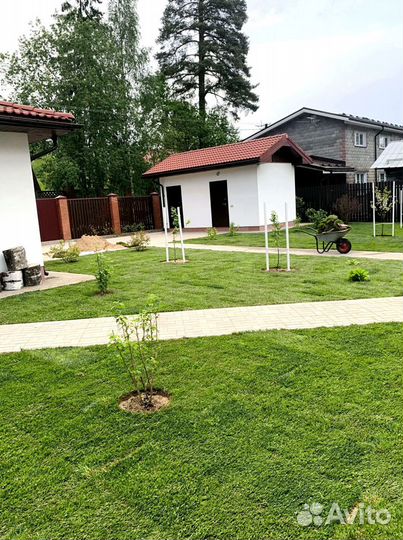 Рулонный газон