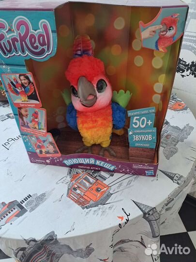 Говорящий попугай