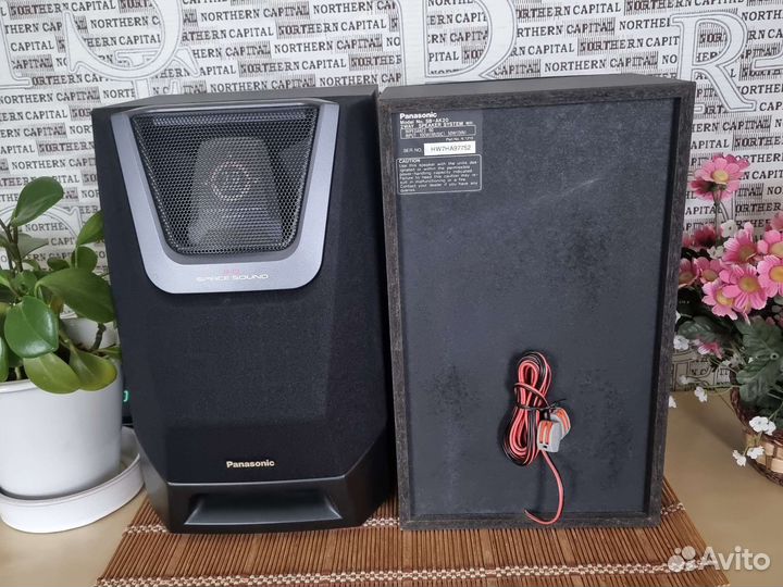 Акустическая система Panasonic SB-AK20