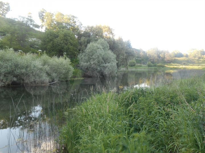 Участок 1,3 га (СНТ, ДНП)