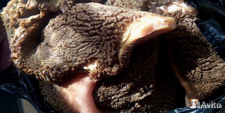 Говяжьи обрези для собак