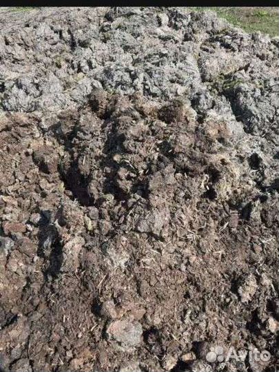 Конское удобрения и коровий. Чернозём