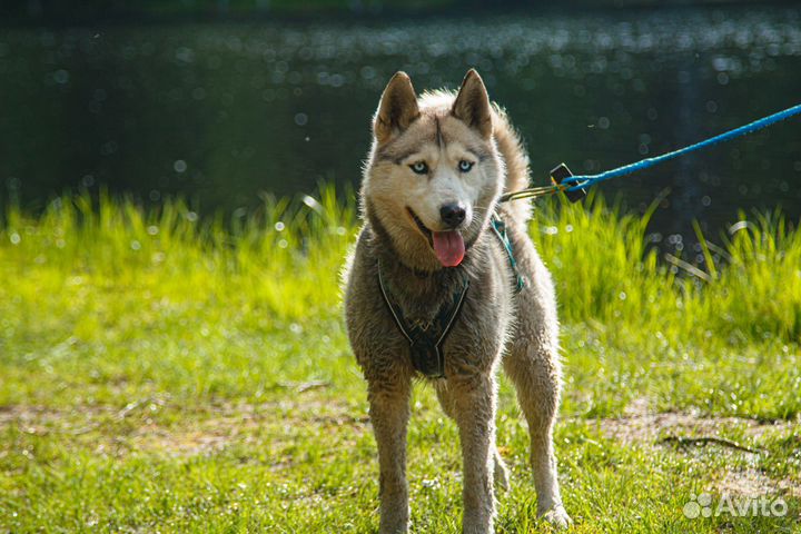 Маркетинг SMM специалист