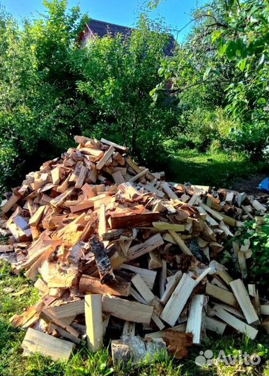 Дрова качественные от 1 куба любых пород древесины