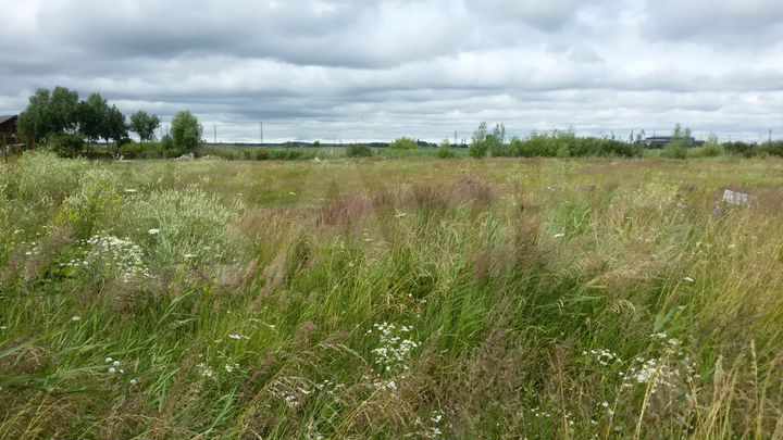 Участок 6,5 сот. (СНТ, ДНП)