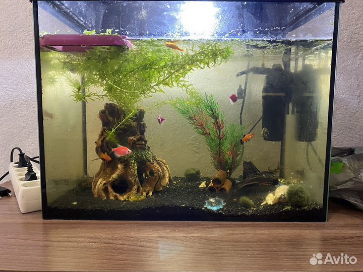 Аквариум