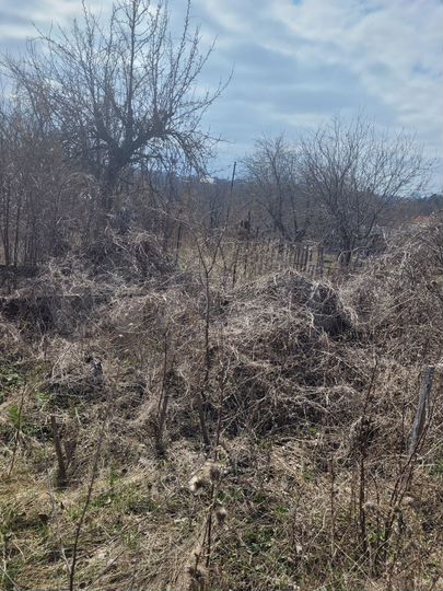 Дача 18 м² на участке 8,72 га