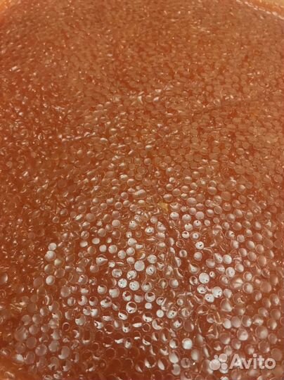 Икра Горбуши