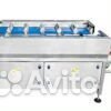 Линия Vega Horizontal Fruit Vegetable Weighting Packing Line