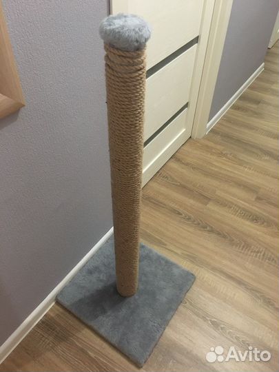 Когтеточка