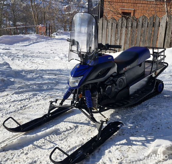 Динго 150 год 2018