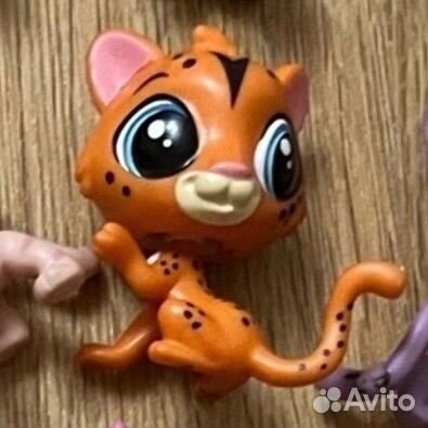 Littlest Pet Shop
