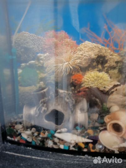 Аквариум