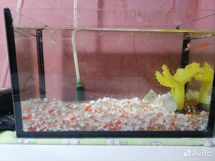 Продам аквариум с рыбками