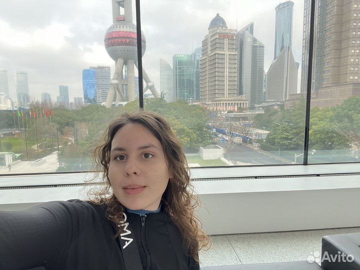 Переводчик с китайского