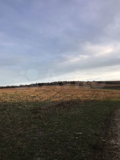 Участок 98 сот. (СНТ, ДНП)