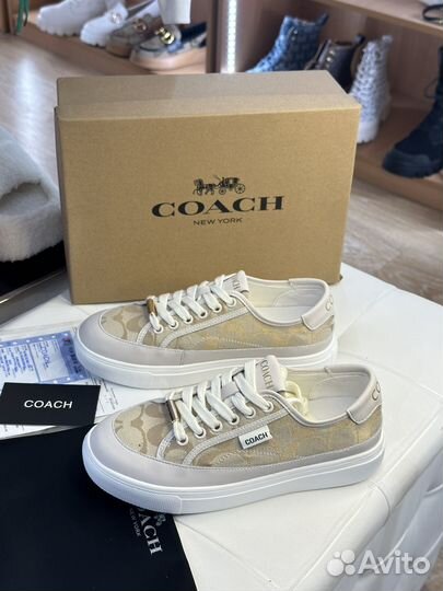 Кеды женские coach