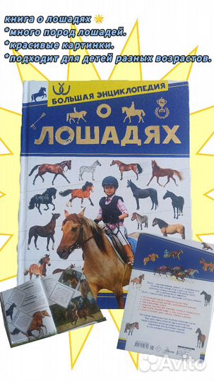 Сказочные и полезные книги о лошадях