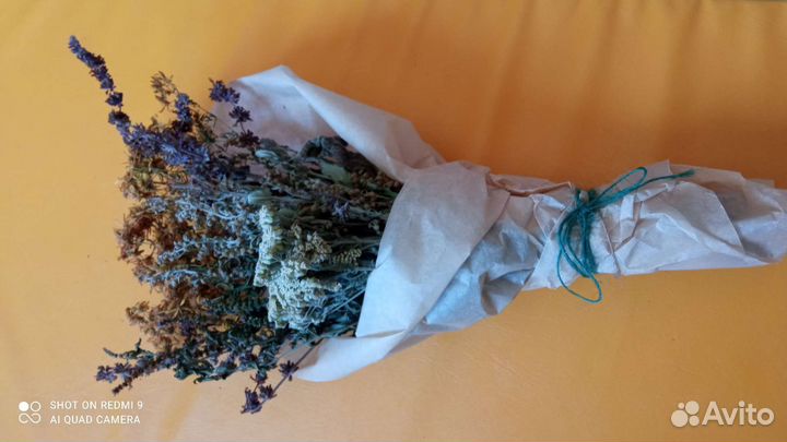 Женские парения-букет трав