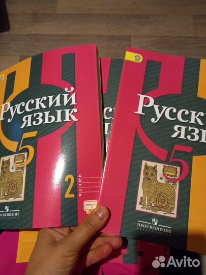 Русский язык 5 класс Рыбченкова 2 части