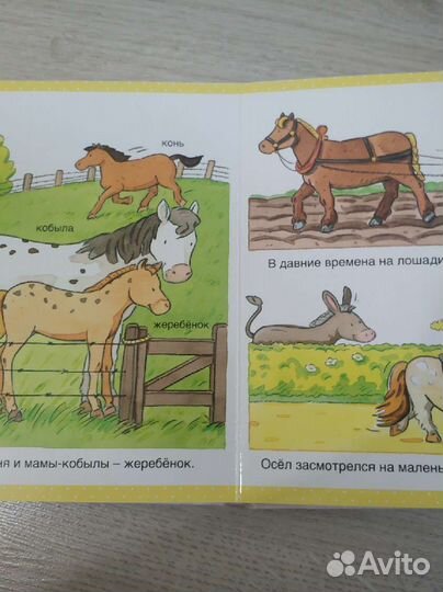 Книги для малышей, первые энциклопедии