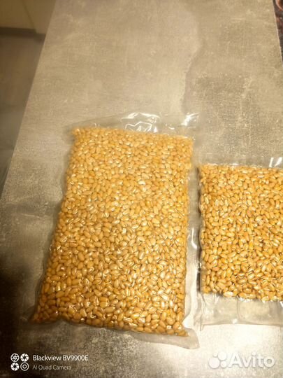 Кедровый орех очищенный