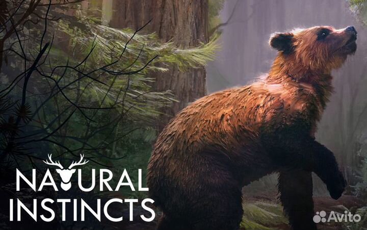 Natural Instincts: European Forest (Ранний доступ) (Steam)