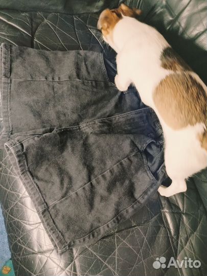 Юбка и шорты