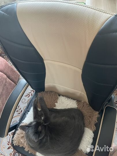 Компьютерное кресло б/у