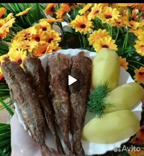 Свежая рыба путассу