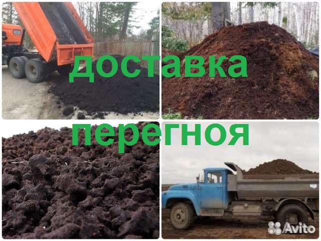 Перегной навоз