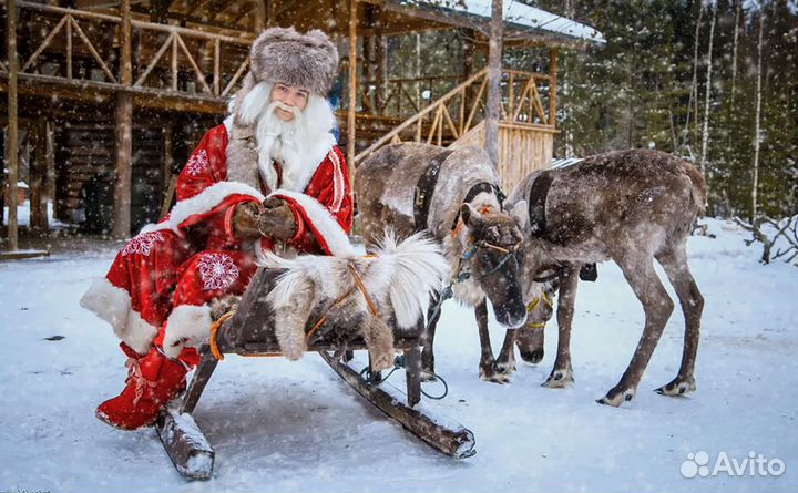 Тур к Талви Укко на 4 н от 3* завтраки