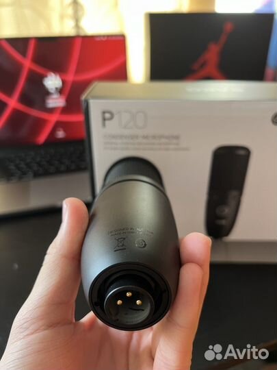 Студийный конденсаторный микрофон AKG P120