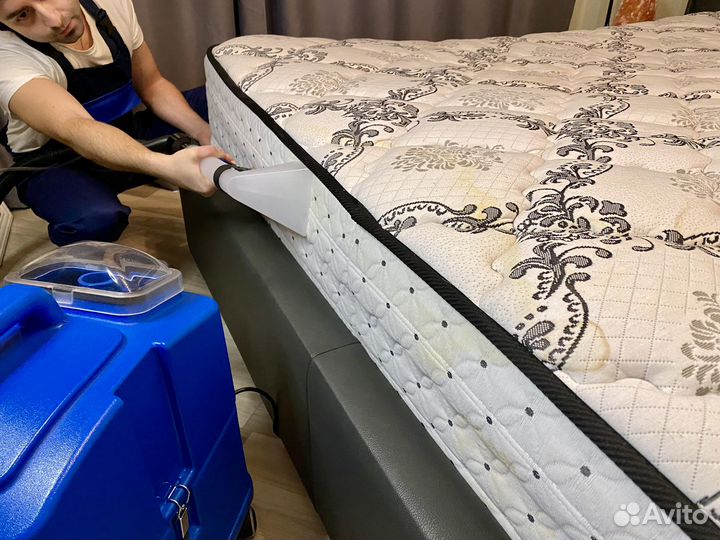 Химчистка мягкой мебели и ковров