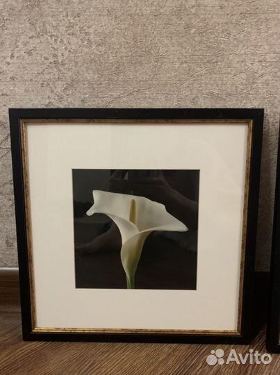 Картина интерьерная. Лилии размер 36x36