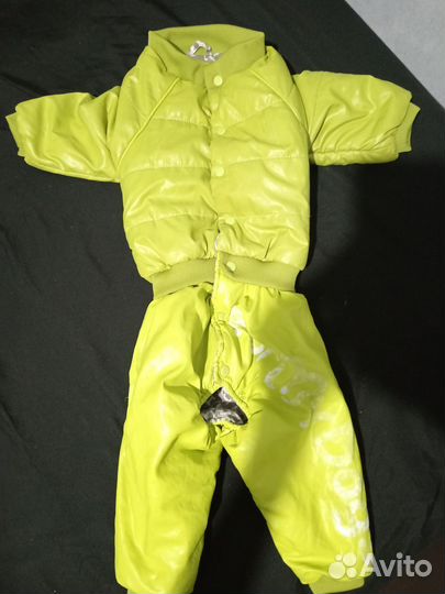 Одежда для собак