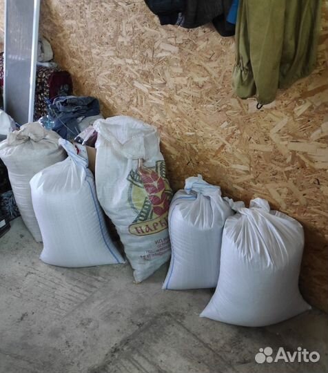 Соевые бобы без гмо