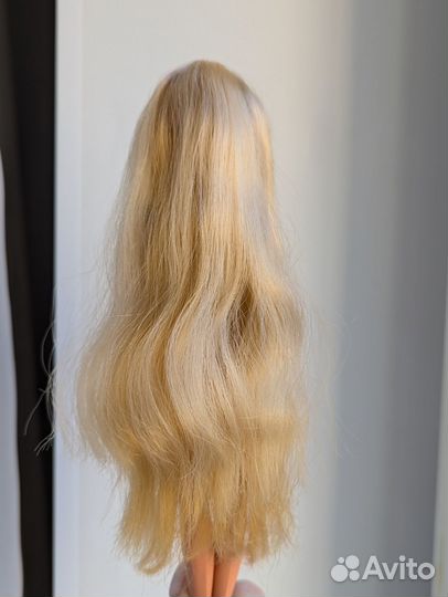 Чудесная Tropical Skiper Скипер