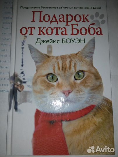 Новые книги про кошек