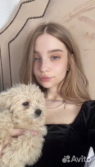 Личный помощник ассистент