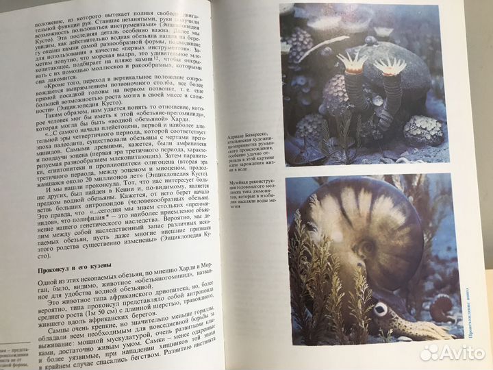 Книги про животных