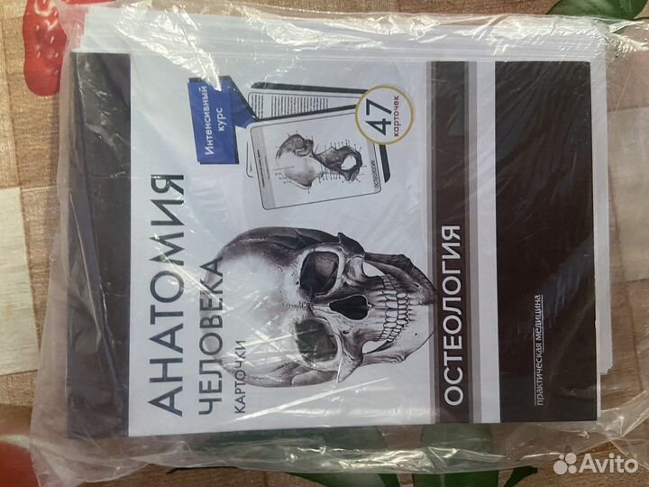 Карточки по анатомии человека