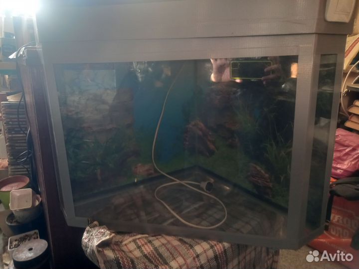 Аквариум