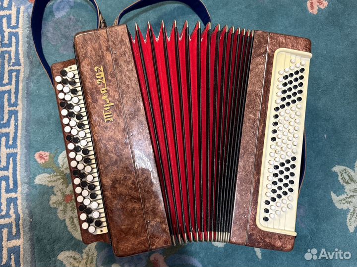 Баян этюд,тула 202