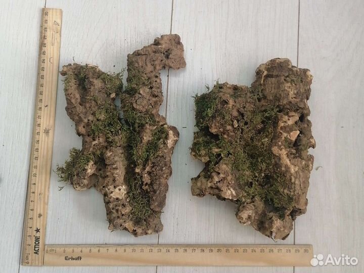 Кора пробкового дуба, мангровая коряга